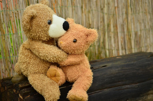 deux peluches oursons pour bébé